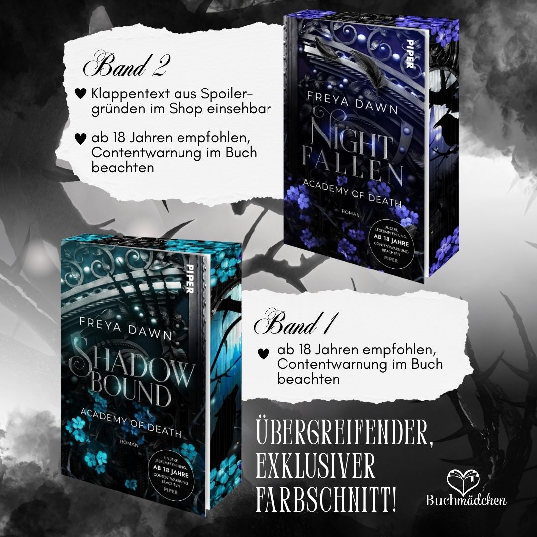 Farbschnittausgabe »Nightfallen – Academy of Death (2)« [Vorbestellung]