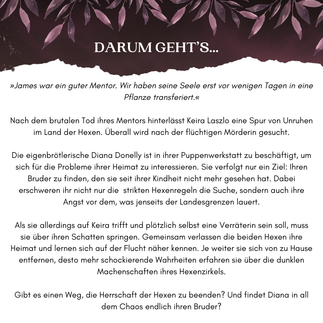 Farbschnittausgabe »Die Töchter des Witwenzirkels« [sofort]