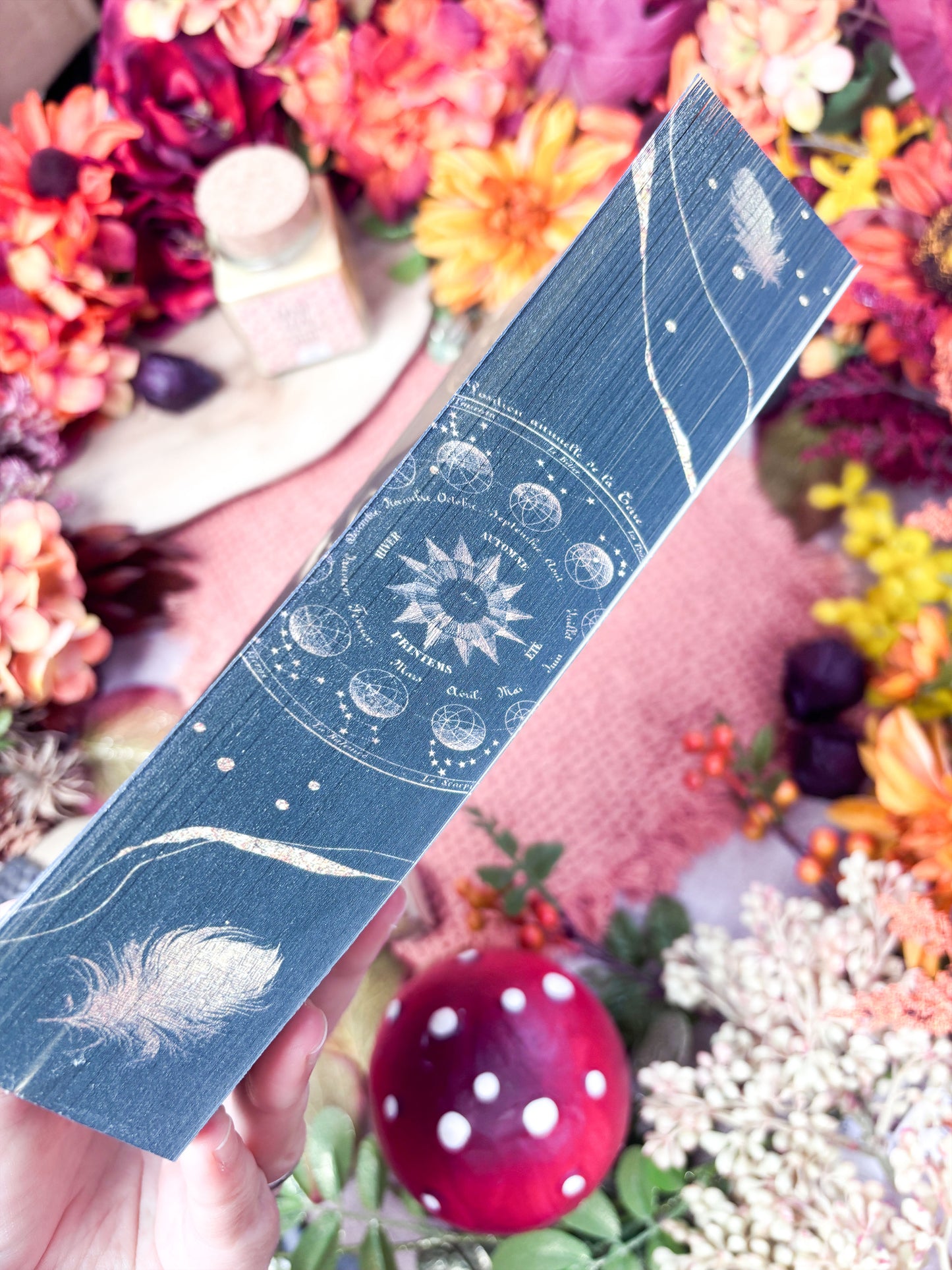 Farbschnittausgabe »Als mein Schicksal vom Himmel fiel« [Sofort]