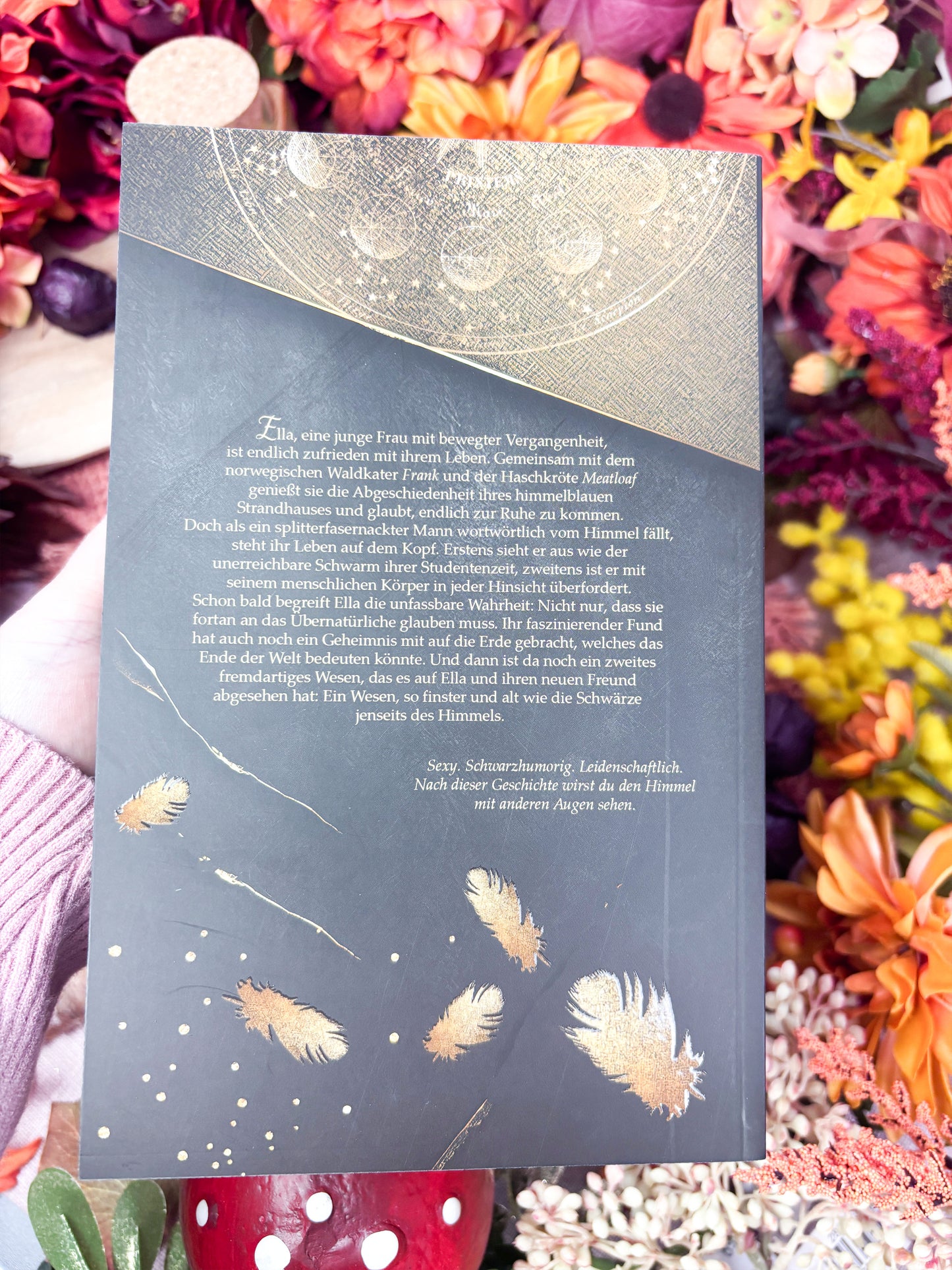 Farbschnittausgabe »Als mein Schicksal vom Himmel fiel« [Sofort]