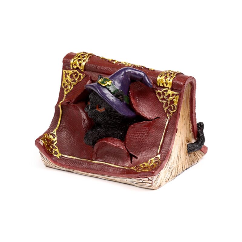 Dekofigur Schwarze Katze aus Zauberbuch kletternd