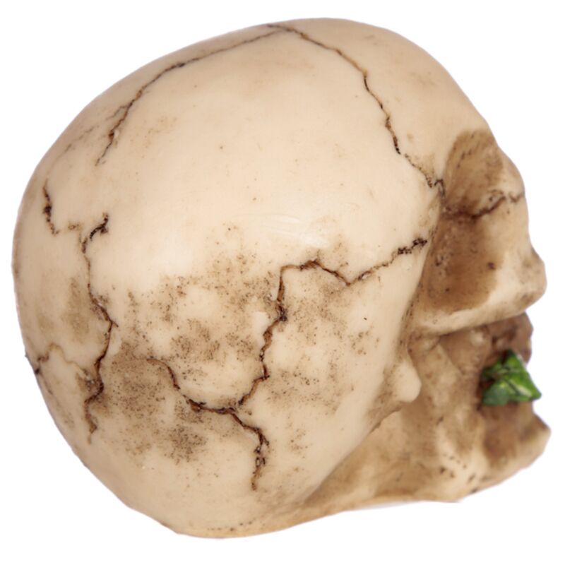 Dekofigur Totenkopf mit Rosen zwischen den Zähnen