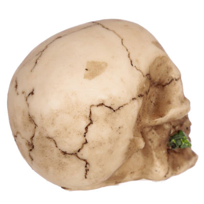 Dekofigur Totenkopf mit Rosen zwischen den Zähnen
