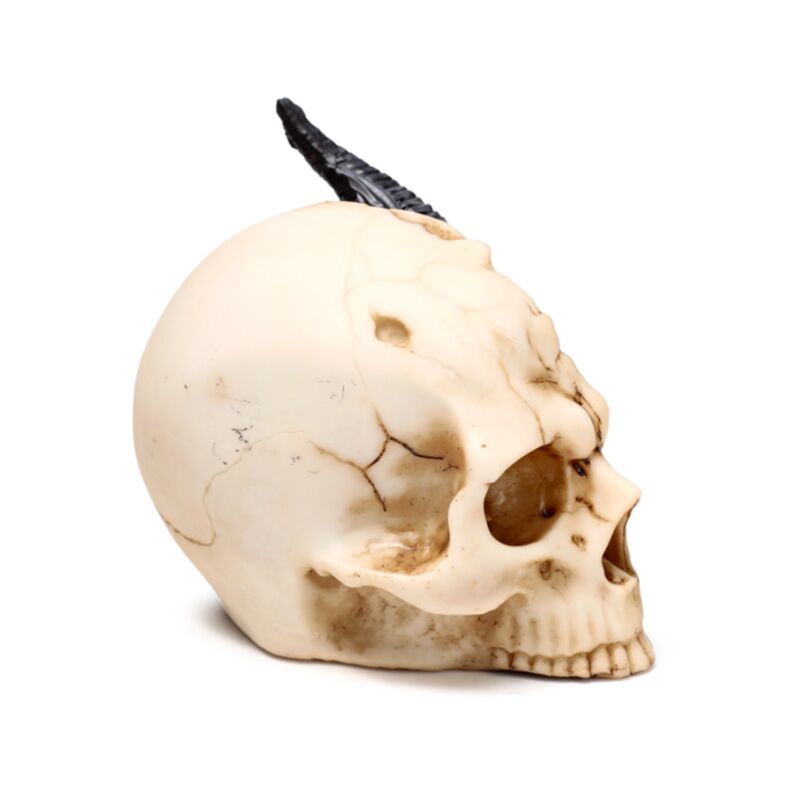 Dekofigur Drachenschädel