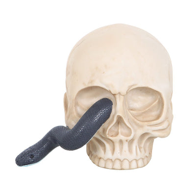 Dekoschädel mit Schlange