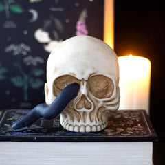 Dekoschädel mit Schlange