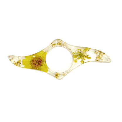 Buchhalter Sonnenblümchen